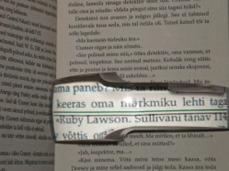 pilt